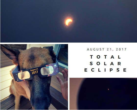 Photos by Makenna Miller, Pendleton Bright, Coral Maxey of 
the solar eclipse on August 21, 2017 of the moon and sun line up and
a dog wearing the special eclipses glasses from NASA.
