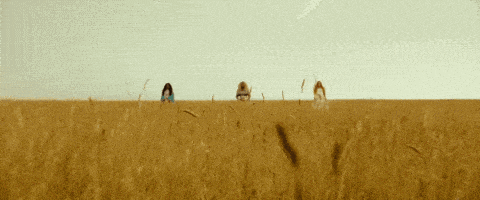 This depicts a gif zooming up on the “Mrs. Whatsit,” “Mrs. Who,” and “Mrs. Which” in a cornfield. Picture by Buzzfeed.com. 