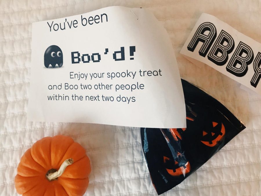 Preview of the “boo’d” instructions and treat bag.
