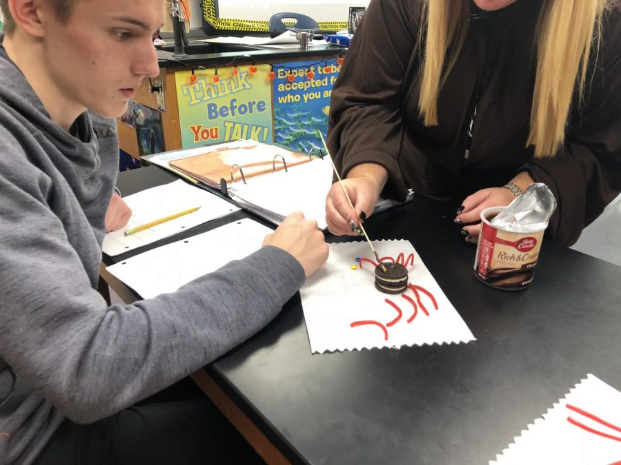 Senior Ryan Bellinghoven creates a Oreo spider in his advisory block with Mrs. 
