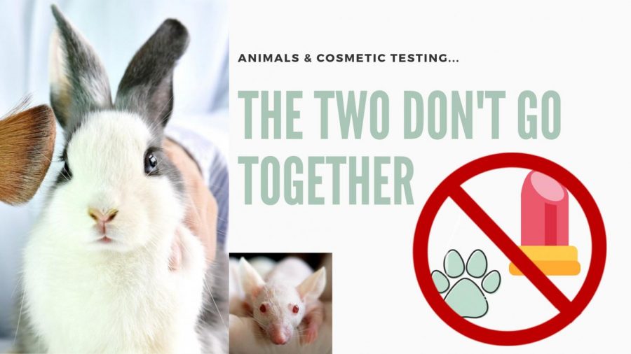 Beauty and Beasts, sad truth behind animal cosmetic testing – The Current