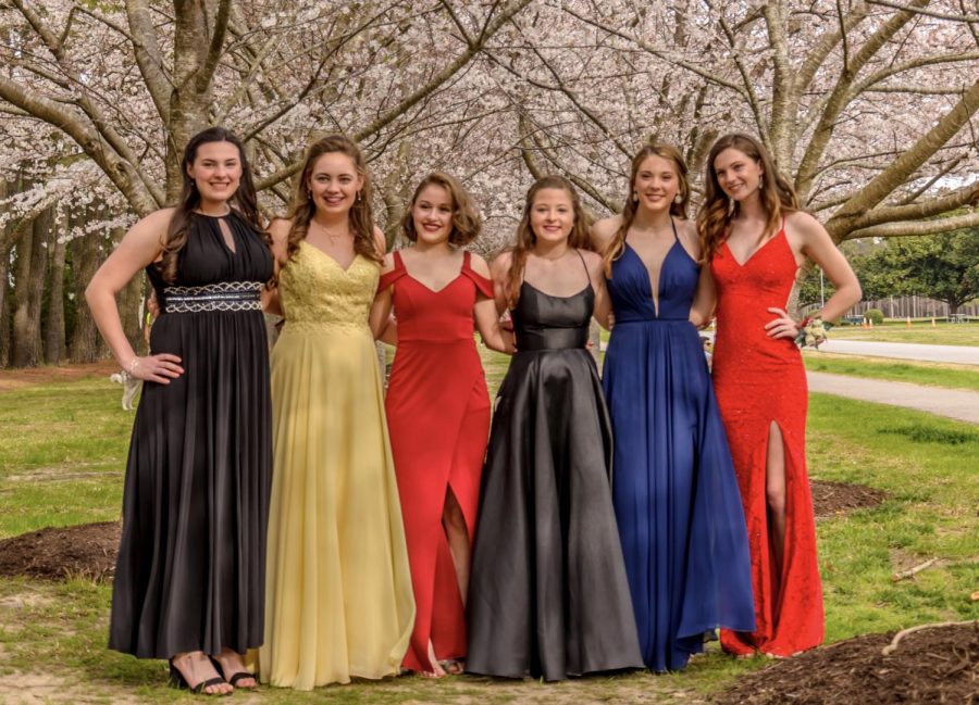 Juniors (from left to right) Kaleigh Ritz, Savannah Burdsal, Sofia Kuhn, Isabella Fox, Elle Herr, and Madelyn Pitcher smile for Ring Dance pictures at Red Wing Park on March 30.