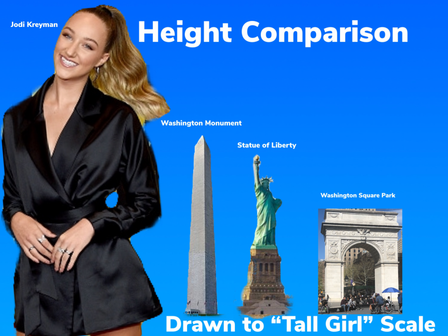 An original graphic to show Netflixs exaggeration of actress Ava Michelles height in Tall Girl.