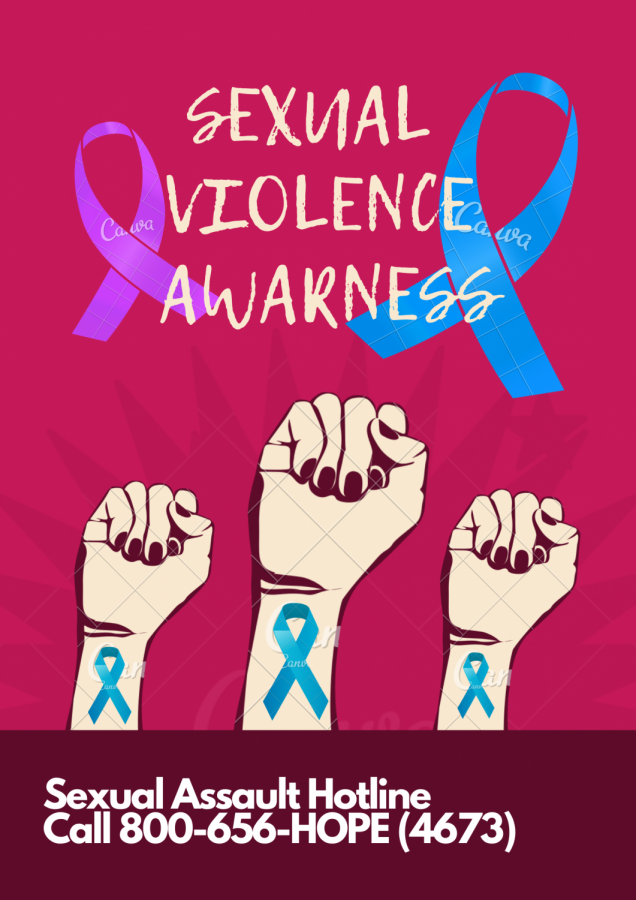 Infographic that shows the sexual violence and domestic violence ribbons.