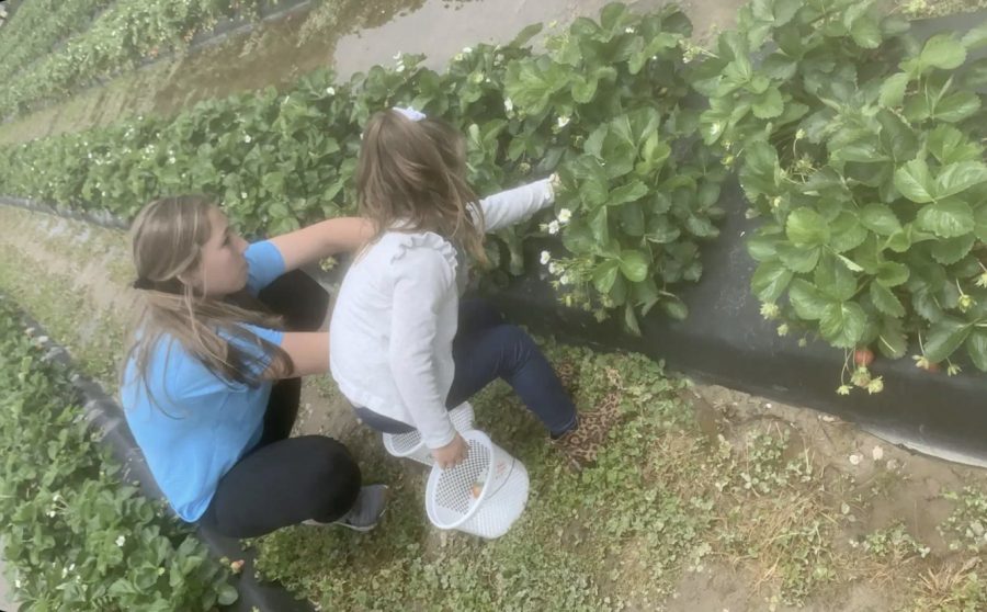 Kate Thoele with her niece Charlie picking strawberries on April 25. 