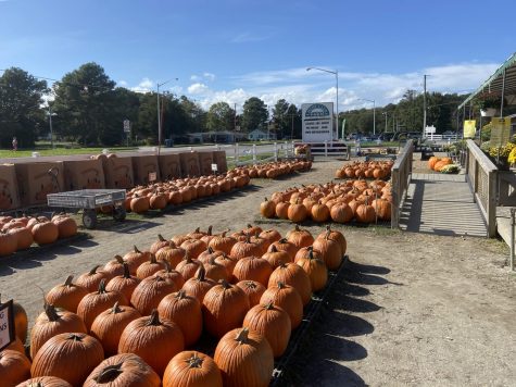 Locals visit the Hunt Club Farm pumpkin patch to purchase pumpkins on Oct. 21