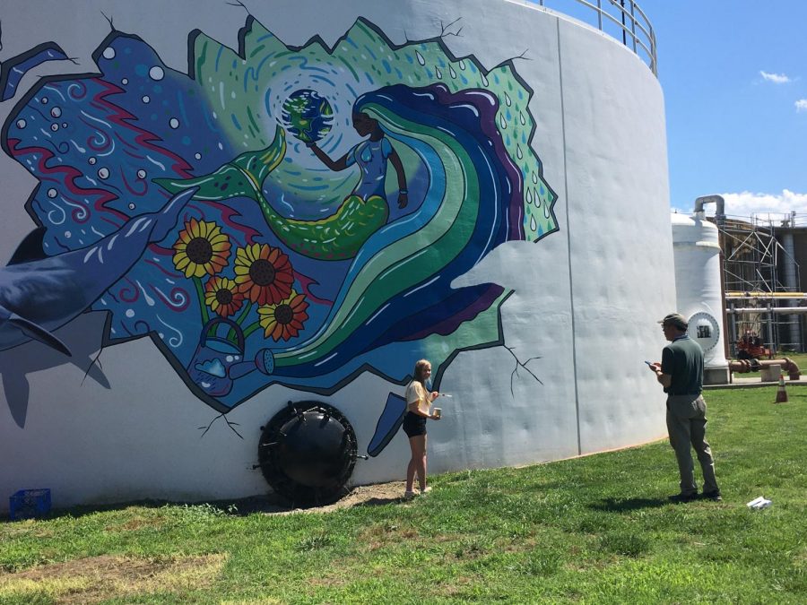 Nikki Boardman and her muralist mentor painting the mural on a water tank at the HRSD.