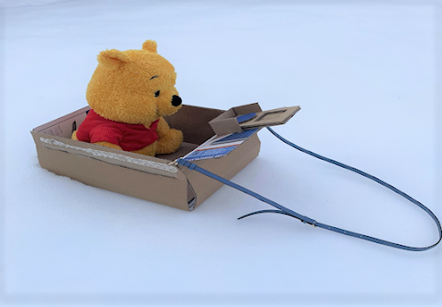 On Sat., Jan. 22, Sydney Cortez test ran her sled, the one she created for Pooh Bear, in her backyard. 
