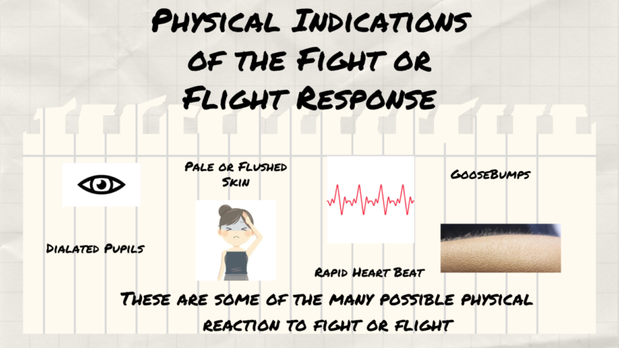 This image shows some physical reactions that take place during the fight or flight response.