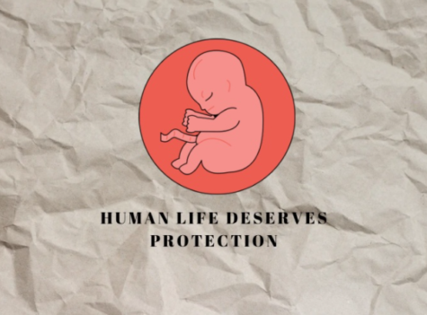 A Canva demonstrating  the value of human life by Evelyn Wille. 
