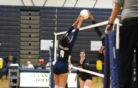 Adrienne Peji in action during senior night against Salem