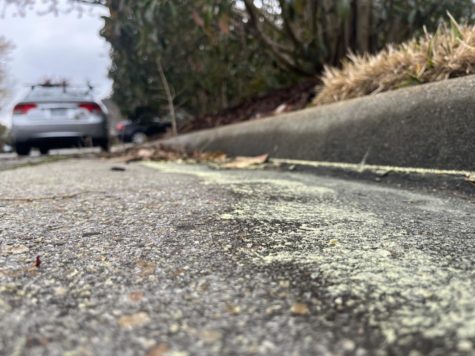 Pollen residue inhabits the street after heavy rainfall in Back Bay Lagomar on Saturday, March 18 2023. 