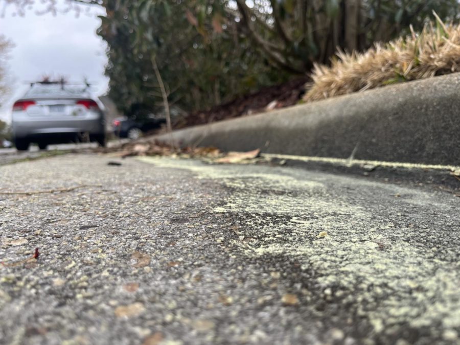 Pollen residue inhabits the street after heavy rainfall in Back Bay Lagomar on Saturday, March 18, 2023. 