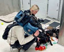 News anchor Benthany Reese and photojournalist Adrian Guerra get shots of new-born puppies during their noon newscast on March 22, 2023 at the Hope for Life rescue shelter. 