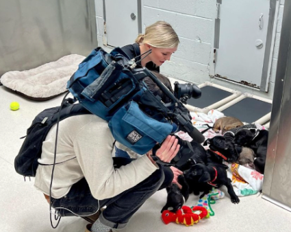 News anchor Benthany Reese and photojournalist Adrian Guerra get shots of newborn puppies during their noon newscast on March 22, 2023, at the Hope for Life rescue shelter. 