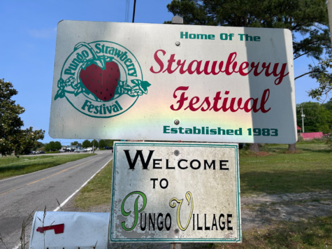 Despite the cancellation  of the 2023 festival, ‘Home of the Strawberry Festival’ sign remains to stand proud and welcome all to Pungo Village on May 25, 2023, right outside of Red Barn on Indian River Road.