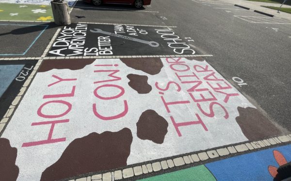 Seniors unveil creativity through their painted parking spots in the Ocean Lakes student parking lot on Sept. 25, 2023. 