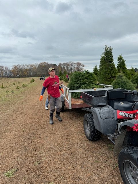 Boomer Family Christmas Tree Farm provides a wide selection of live trees for the 2023 holiday season. Photo used with permission from Micheal H. Boomer. 
