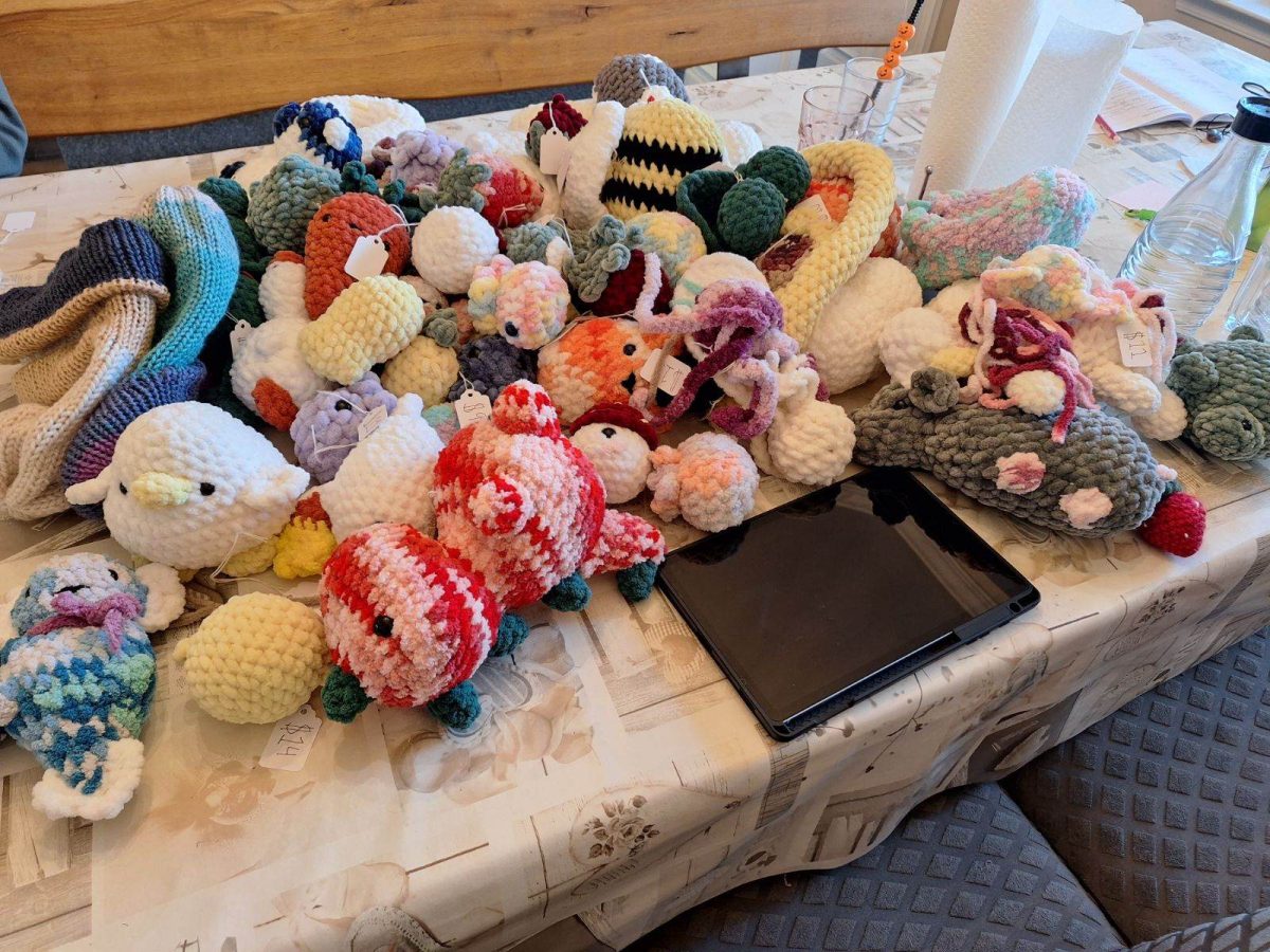 Sophomore Emilia Fiorentino works to complete a collection of crochet projects that includes different types of animals during November 2023. Photo used with permission from Emilia Fiorentino.