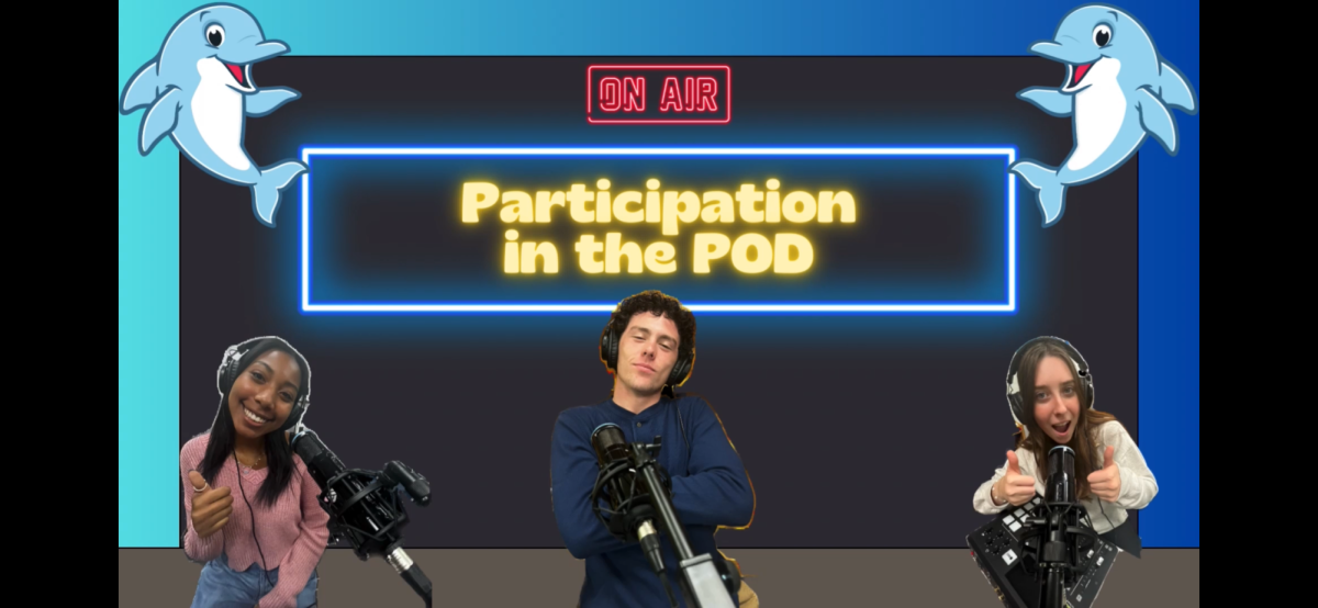 Participation in the POD #2