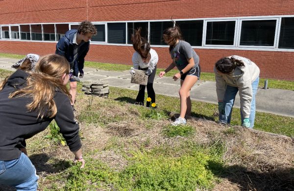 From left to right: Makenna McGrath, Stone Crawford, Skylar Gray, Hannah Greentree and Camille Graninger work to pull out weeds in the cafeteria courtyards garden in hopes of filling it with life again as part of the Gardening Club. Taken March 24, 2024. 