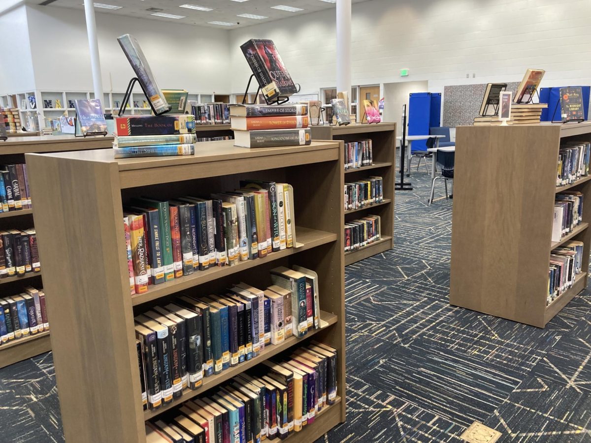 A shelf displays fantasy books at the Ocean Lakes High School library. The library offers thousands of diverse books, with frequent display rotations. Photo taken Jan. 21, 2025.