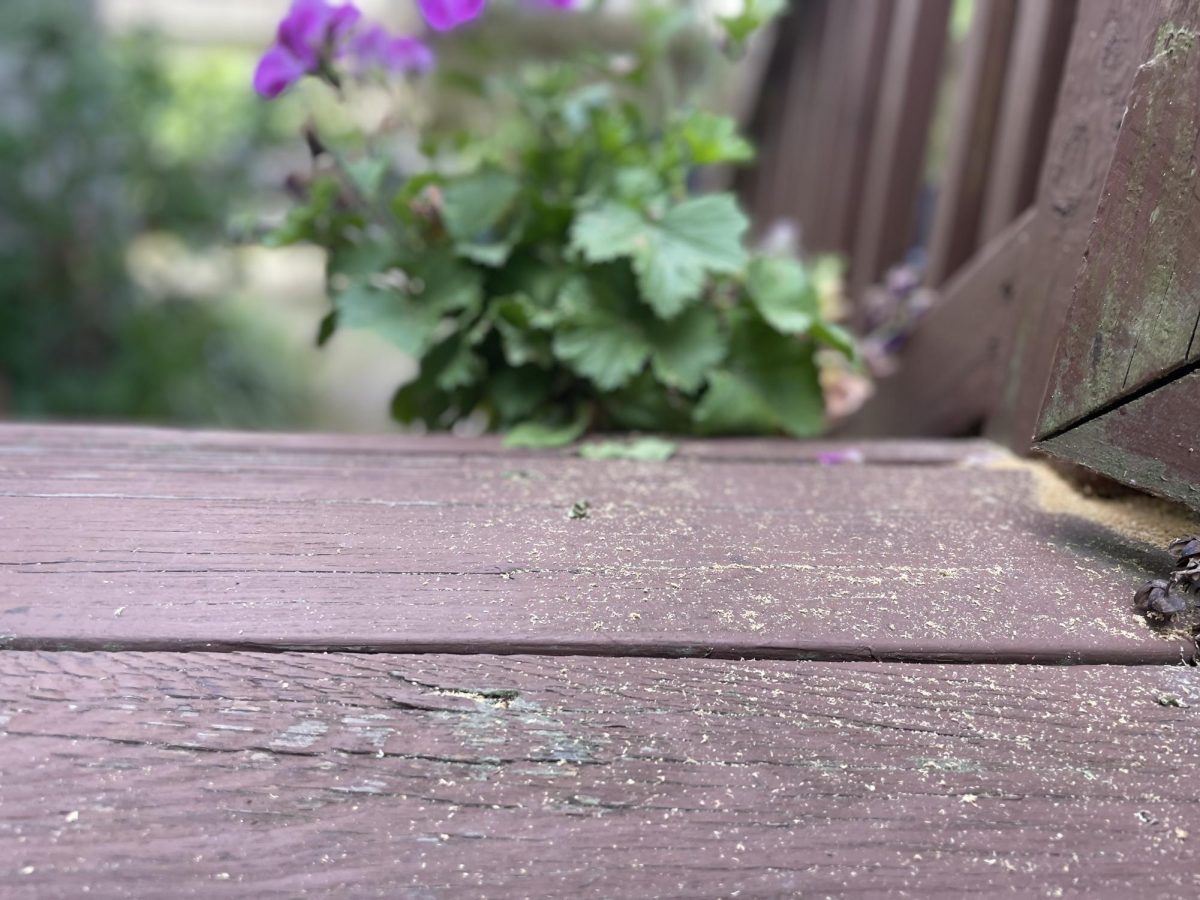 A thin layer of dust covers a deck in the early spring on April 24, 2025. Over 100 million people are affected by pollen allergies each year, according to Asthma and Allergy Foundation of America.