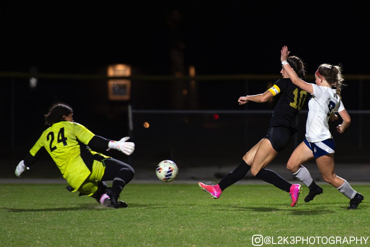 Senior and captain Marlie Smith makes an incredible save to keep Great Bridge from scoring a game-tying goal, allowing the Dolphins to win 1-0 in a very competitive match. The game took place on March 28, and marked the team’s second win of the season.  Photo used with permission from Marlie Smith. 

