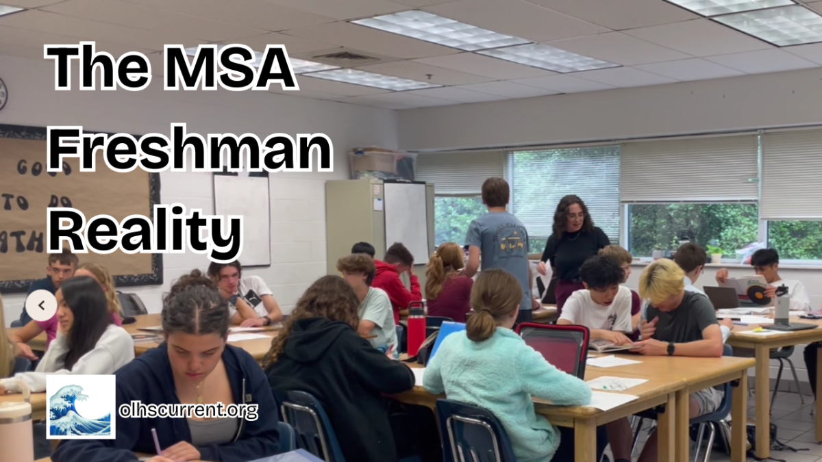 The MSA freshman reality