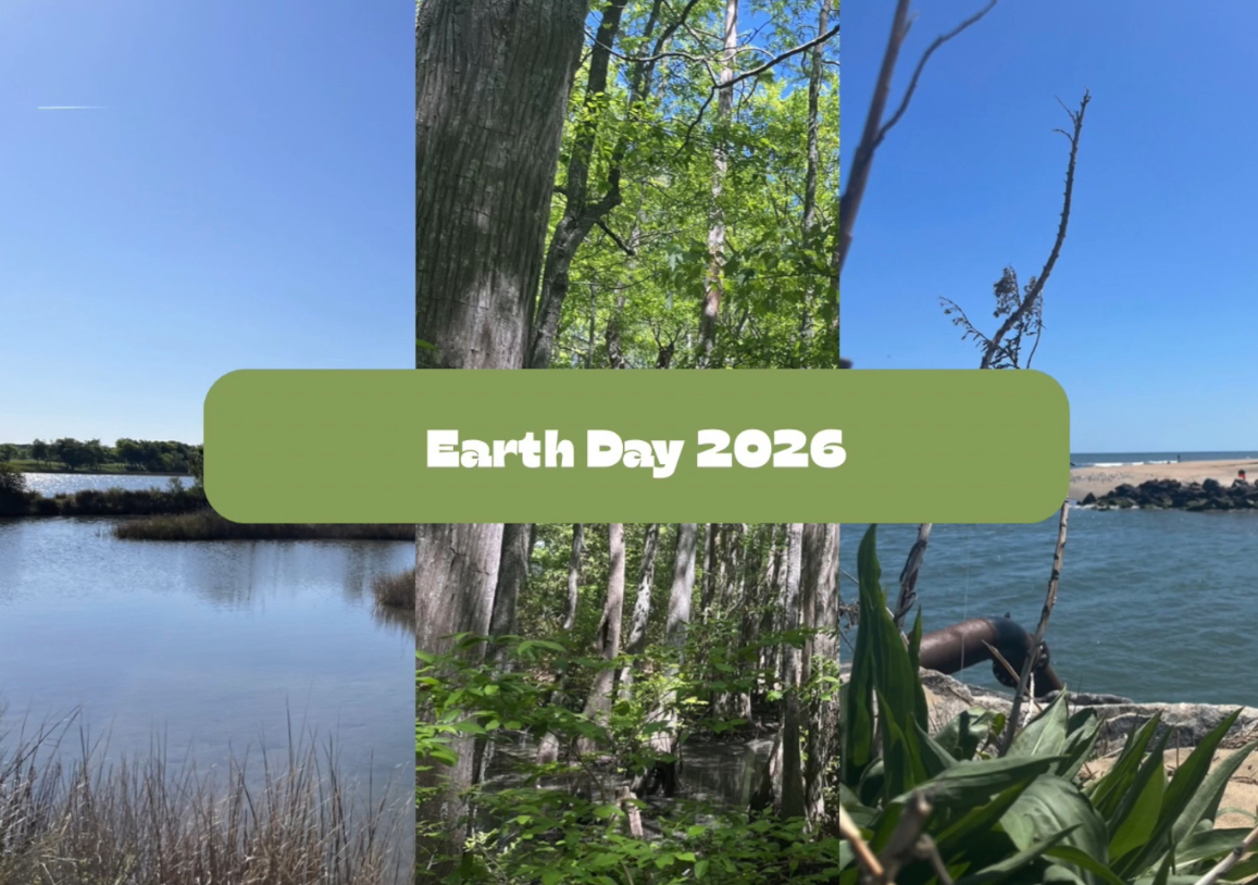 Growing a greener planet